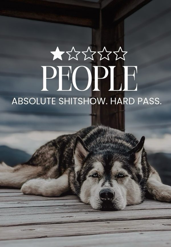 Instagram post: Would not recommend. If you like dogs more than people, you are in the right place.